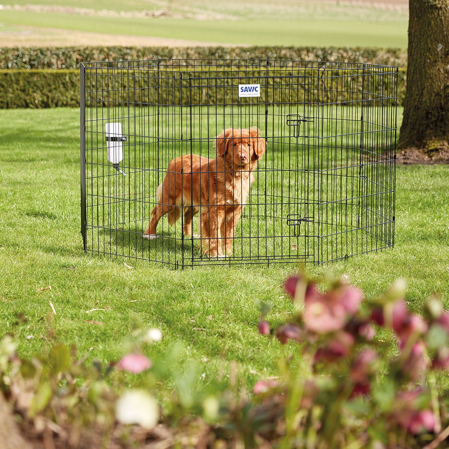 Ohrádka Savic Dog Park 1 61cm-KS