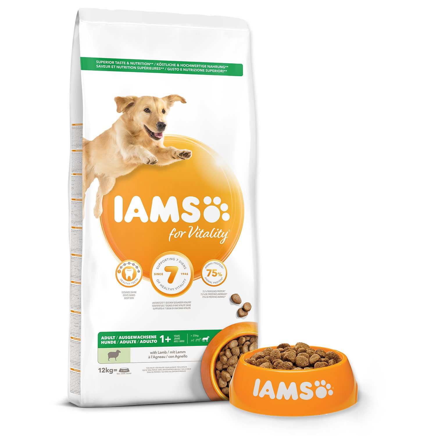 Krmivo IAMS Dog Adult Large Lamb 12kg -KS