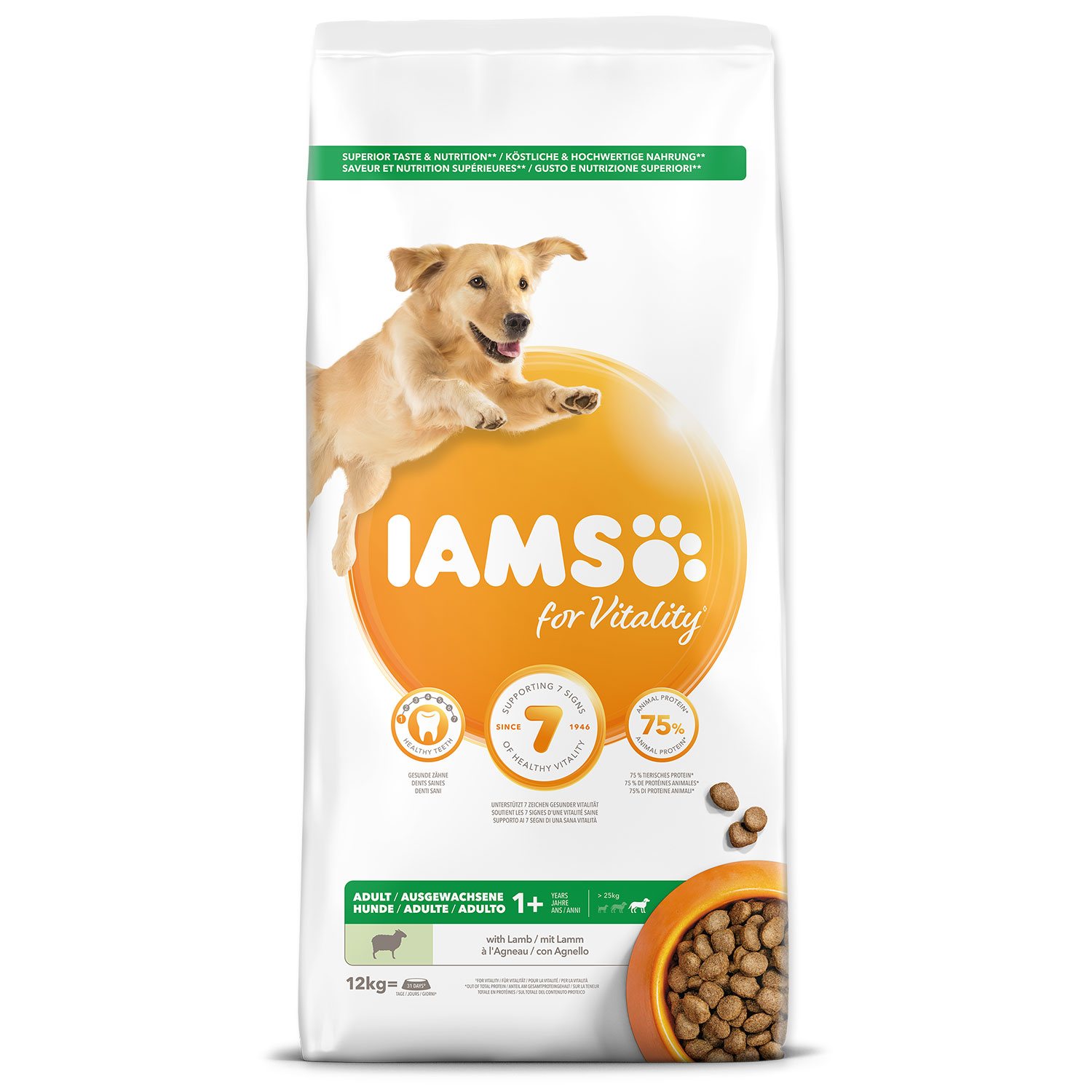 Krmivo IAMS Dog Adult Large Lamb 12kg -KS