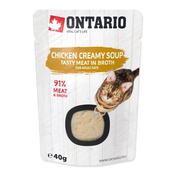 Polévka Ontario kuře se sýrem 40g-KS