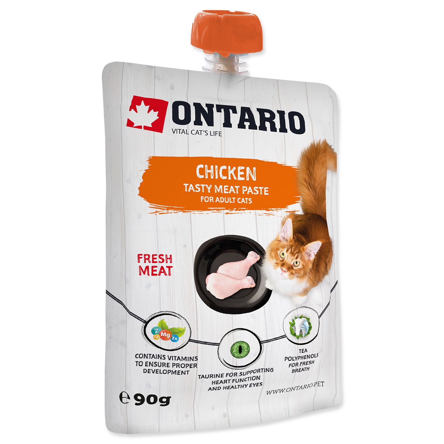 Pasta Ontario kuře 90g-KS