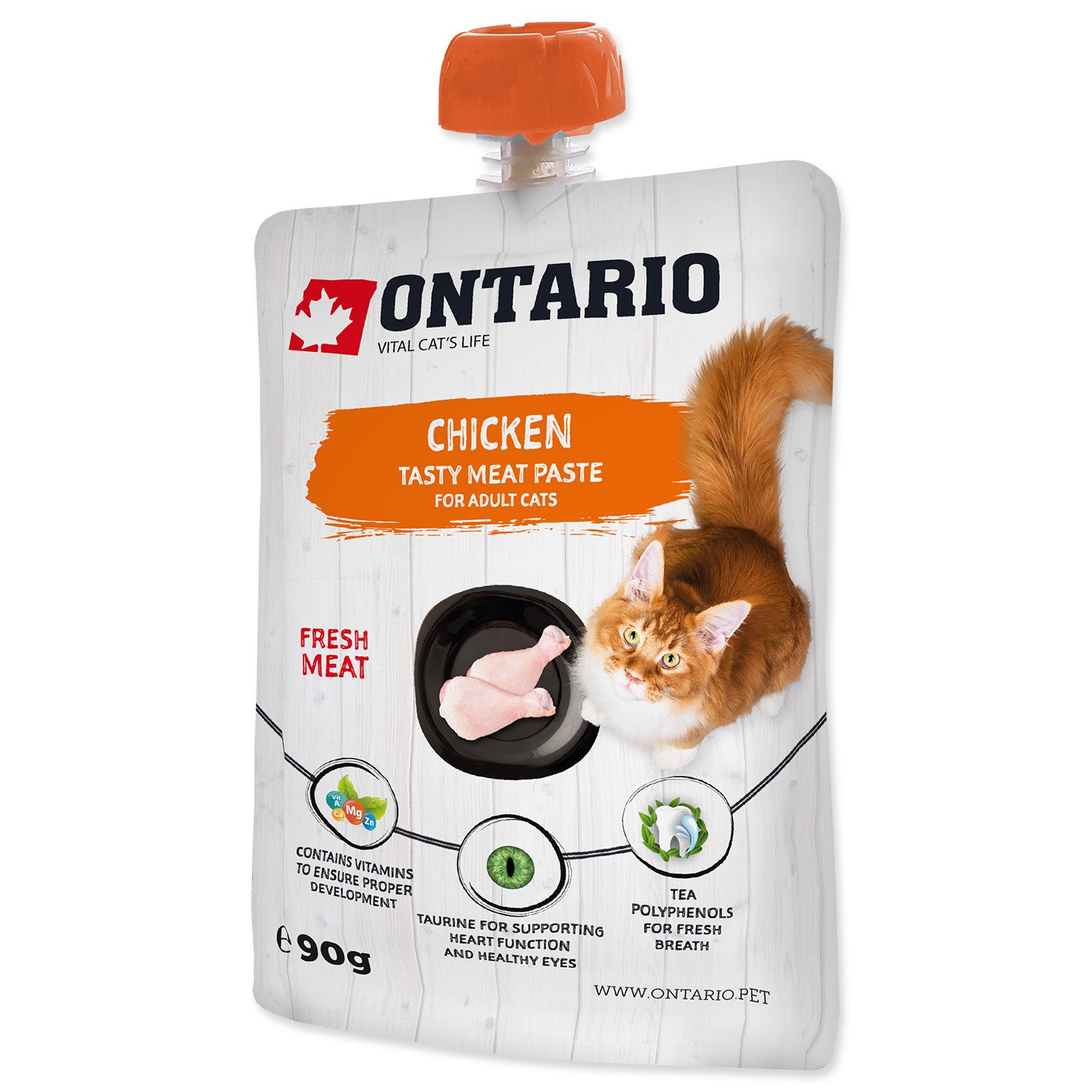Pasta Ontario kuře 90g-KS