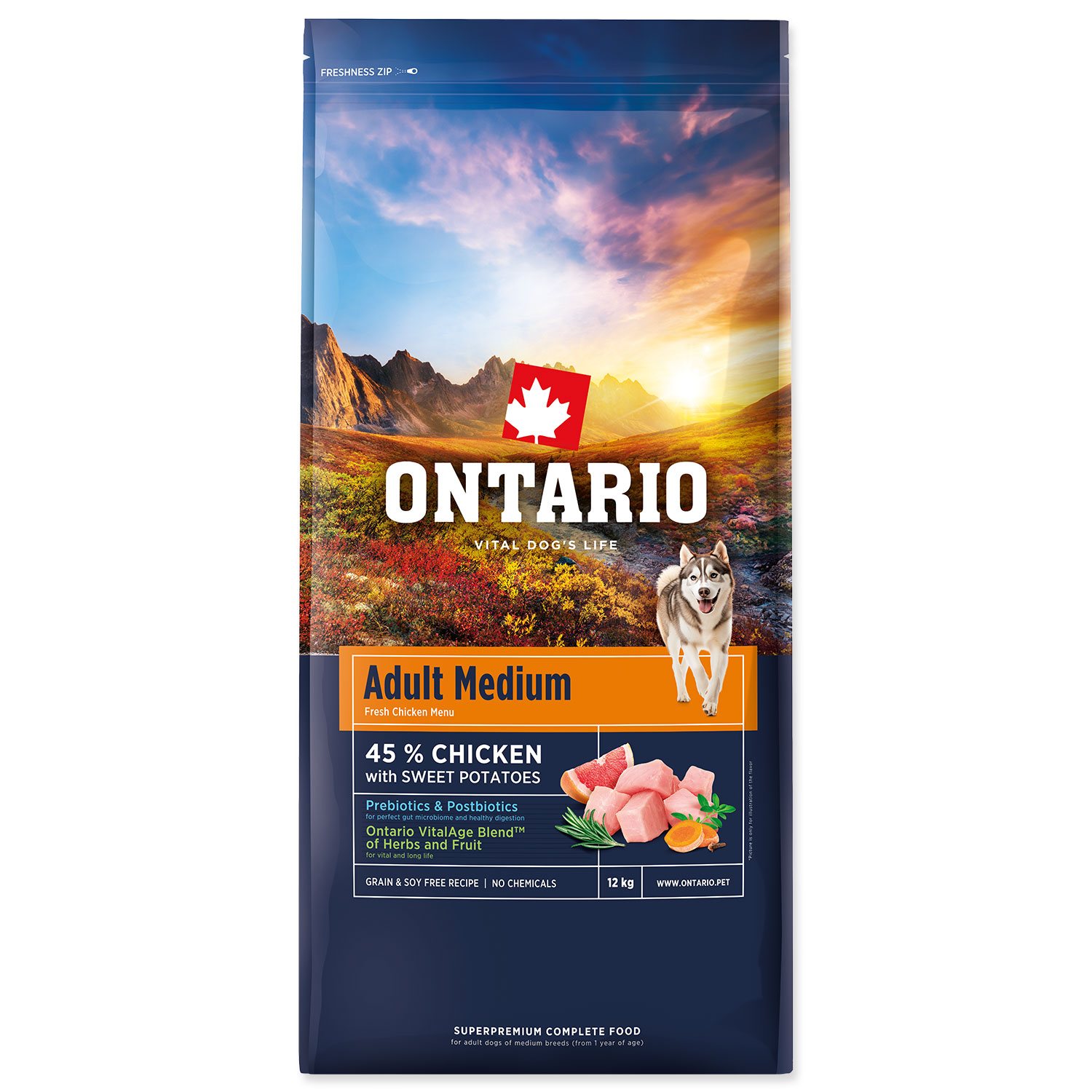 Krmivo Ontario Adult Medium Chicken & Sweet Potatoes 12kg-KS