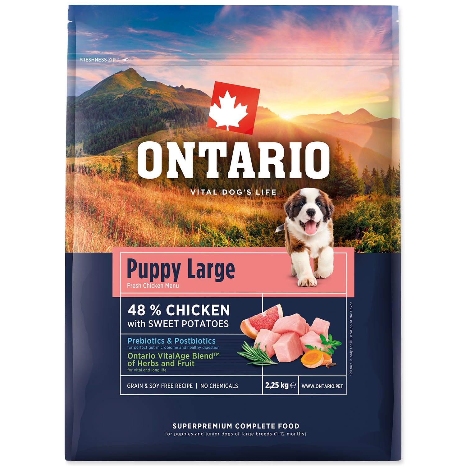 Krmivo Ontario Puppy & Junior Large Chicken & Sweet Potatoes 2,25kg-KS