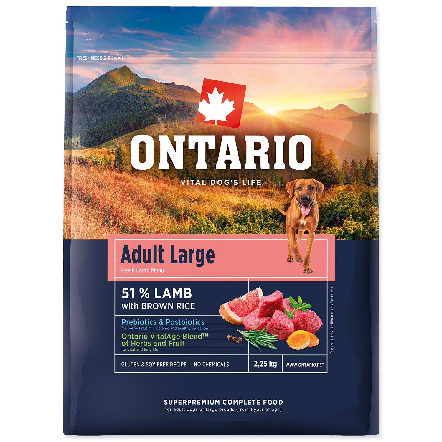 Krmivo Ontario Adult Large Lamb & Brown Rice 2,25kg-KS