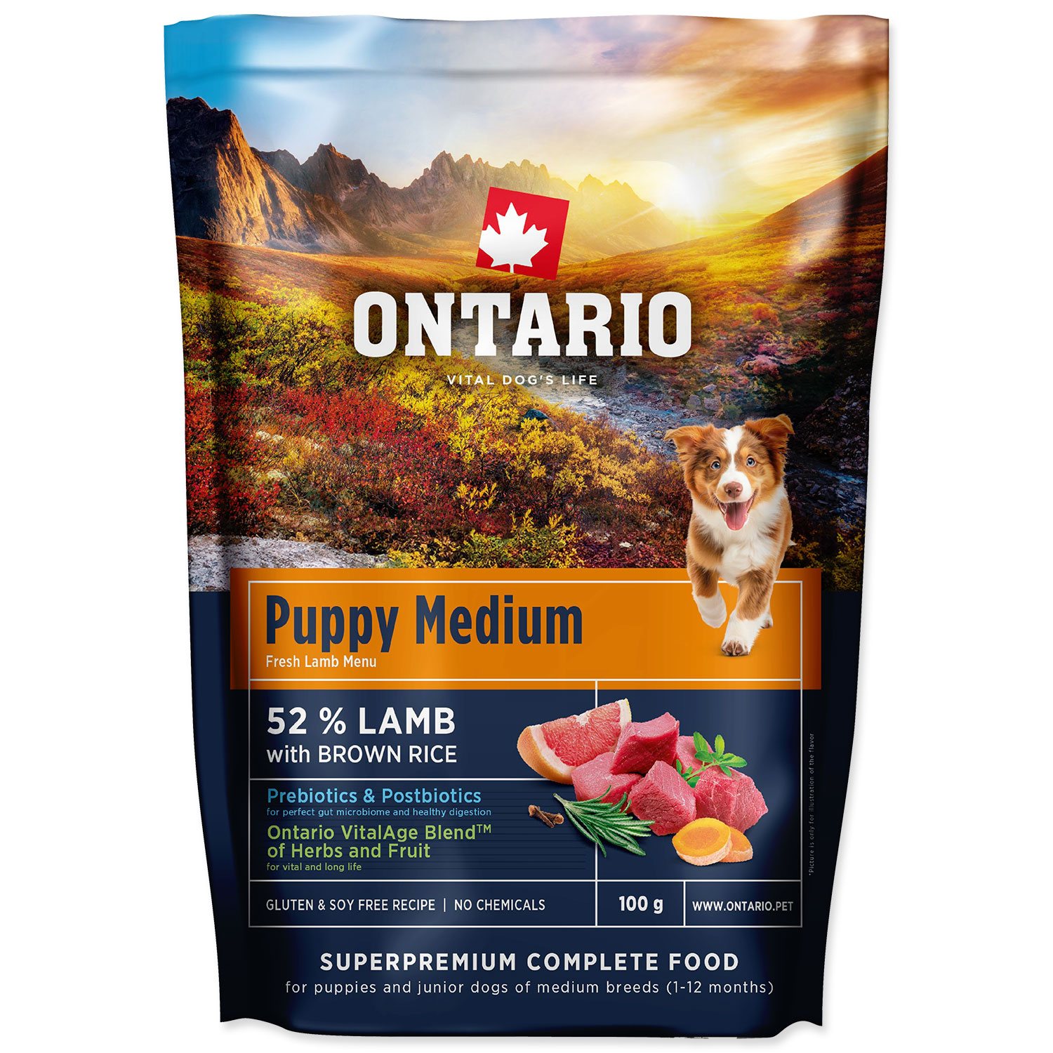 Vzorek Ontario Puppy Medium Lamb & Brown Rice 0,1kg