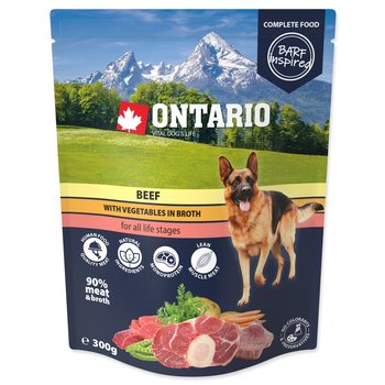 Kapsička Ontario hovězí se zeleninou ve vývaru 300g-KS