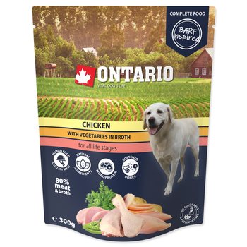 Kapsička Ontario kuře se zeleninou ve vývaru 300g-KS