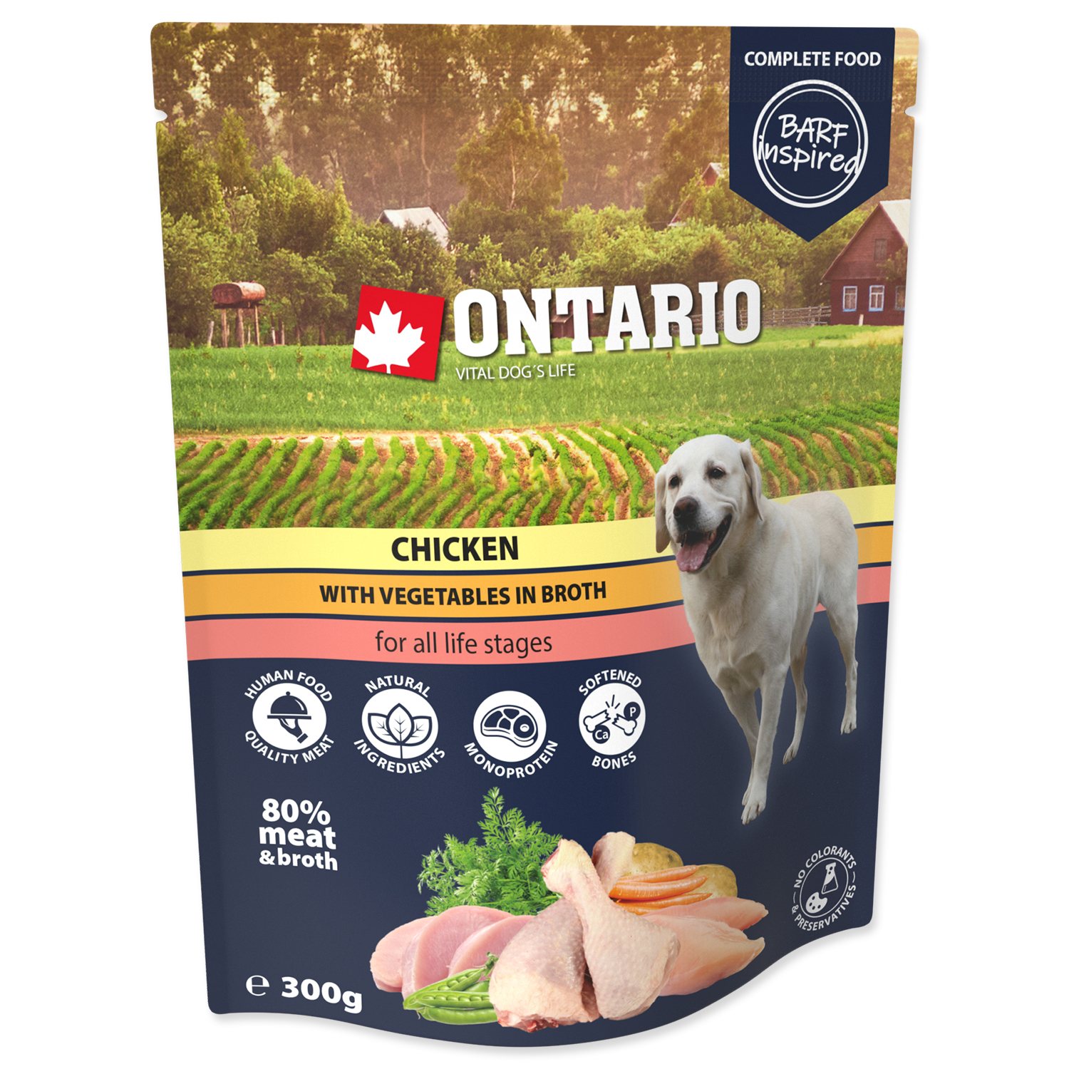 Kapsička Ontario kuře se zeleninou ve vývaru 300g-KS