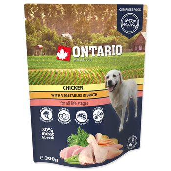 Kapsička Ontario kuře se zeleninou ve vývaru 300g-KS