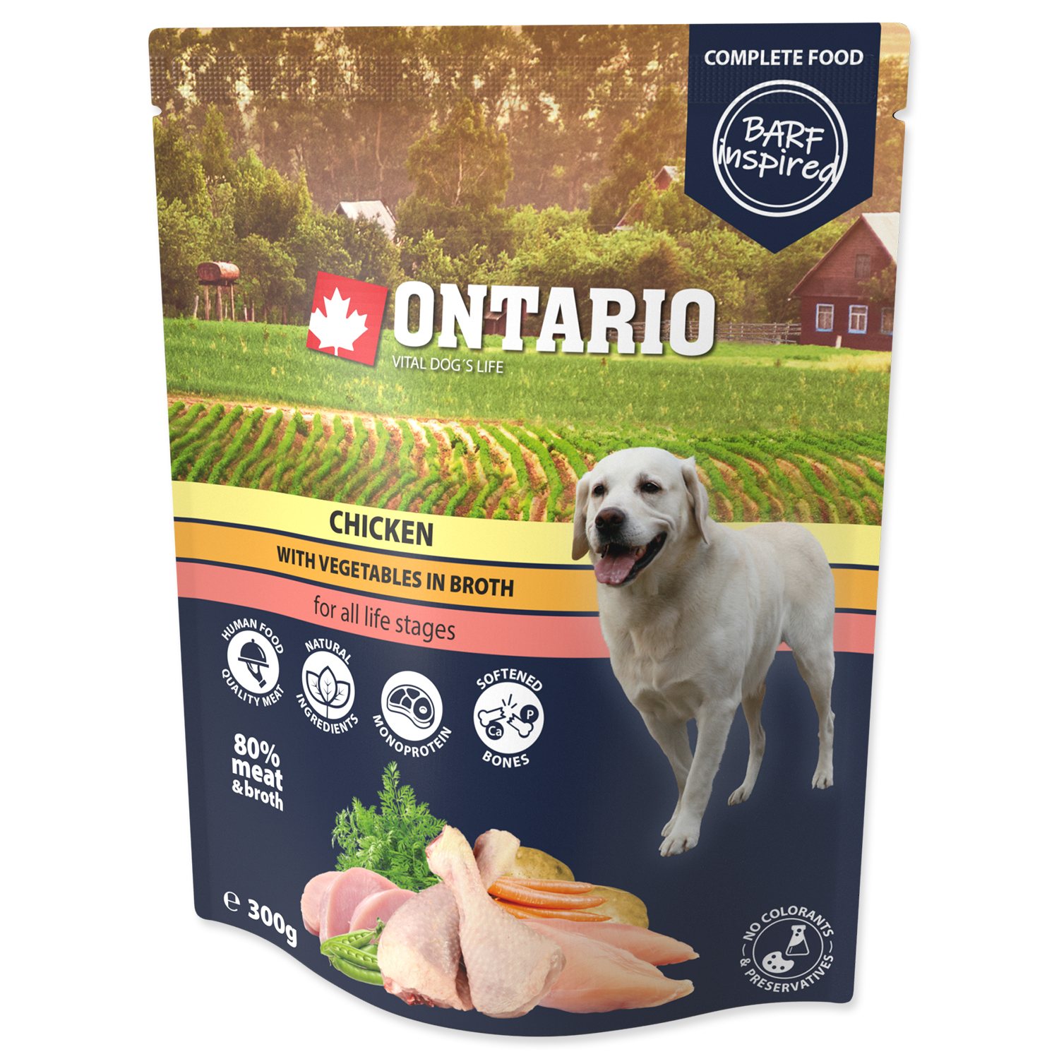 Kapsička Ontario kuře se zeleninou ve vývaru 300g-KS