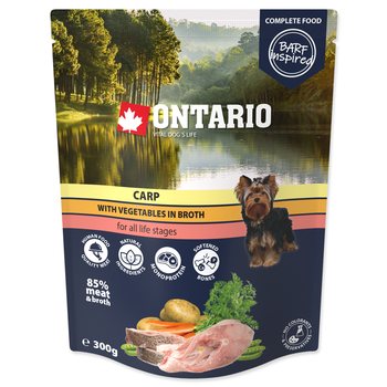 Kapsička Ontario kapr se zeleninou ve vývaru 300g-KS