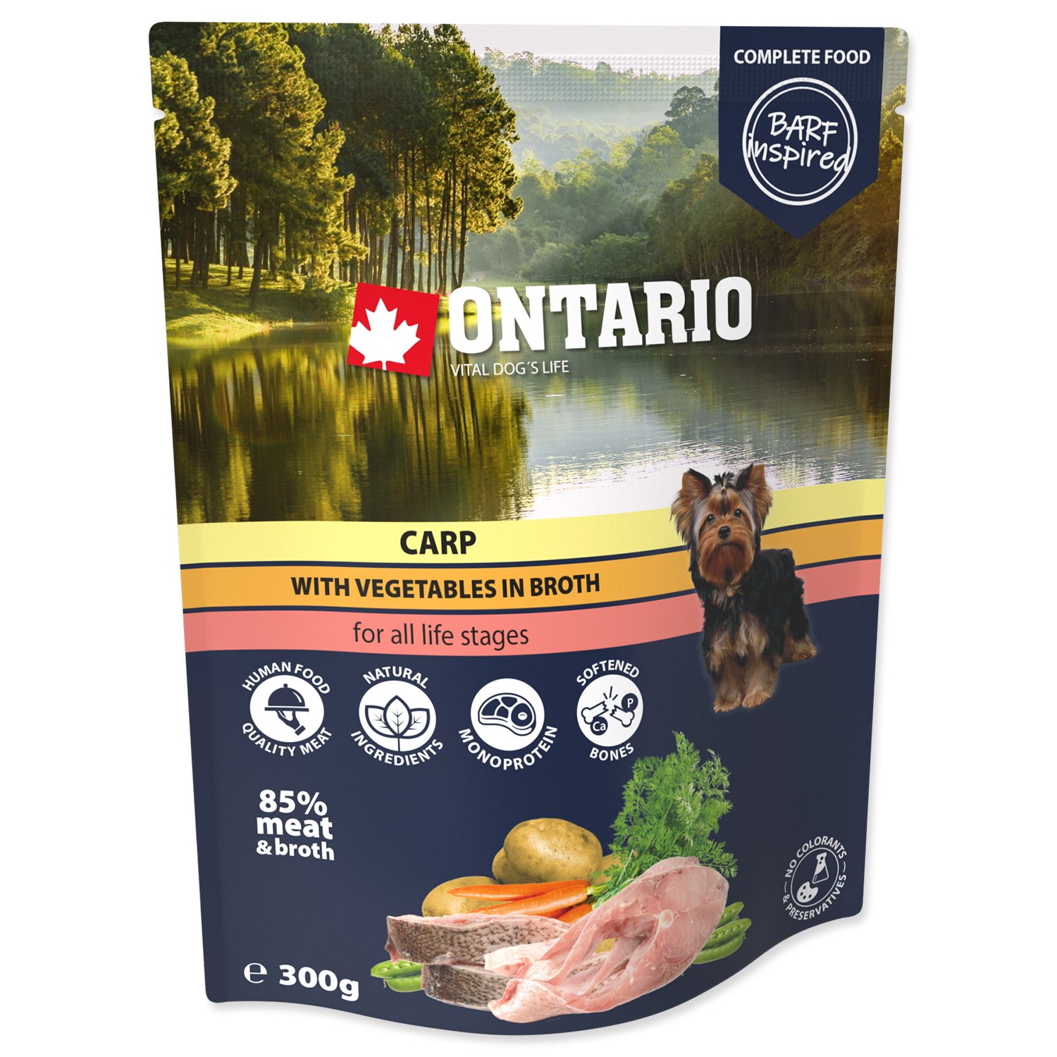 Kapsička Ontario kapr se zeleninou ve vývaru 300g-KS