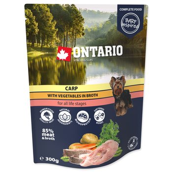 Kapsička Ontario kapr se zeleninou ve vývaru 300g-KS