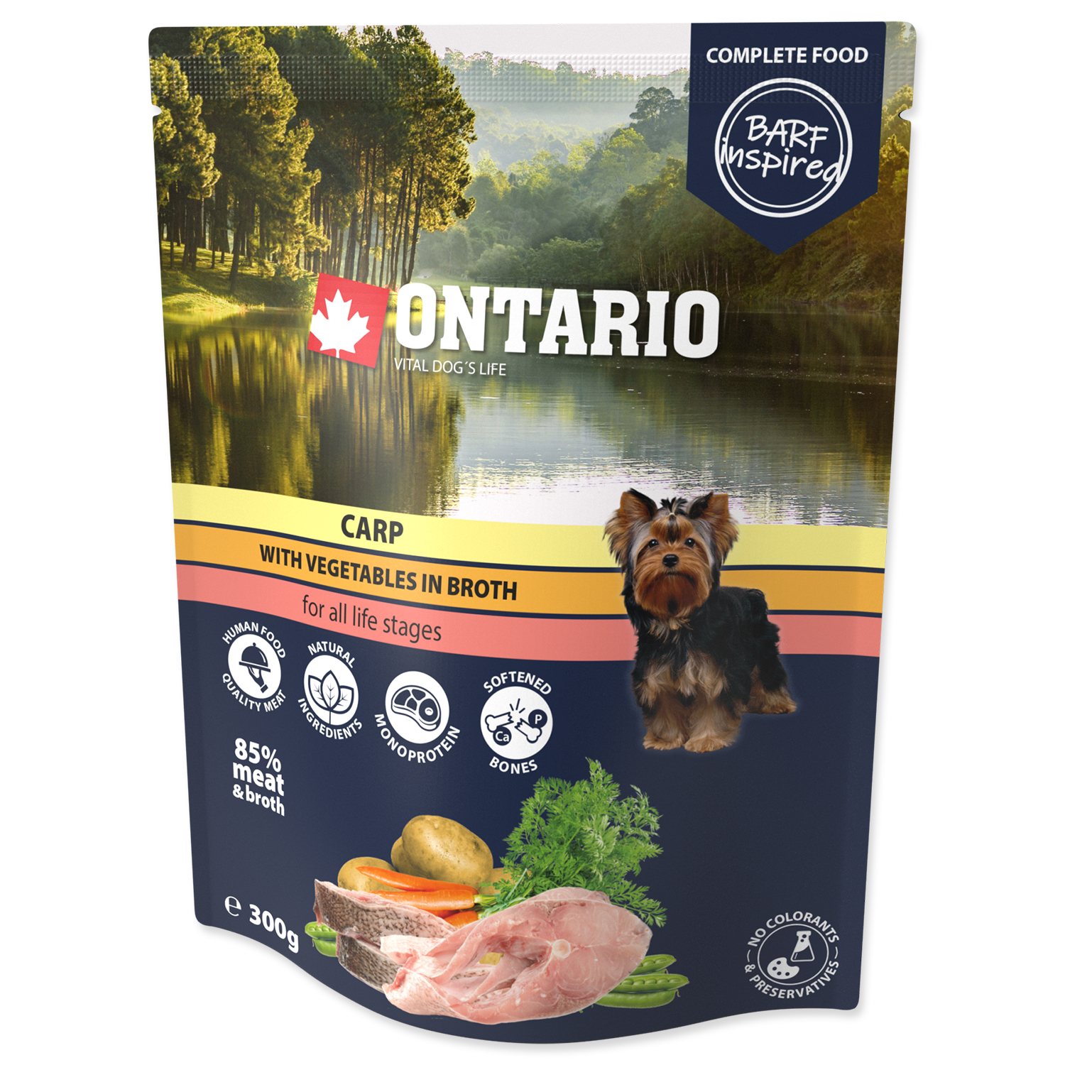 Kapsička Ontario kapr se zeleninou ve vývaru 300g-KS