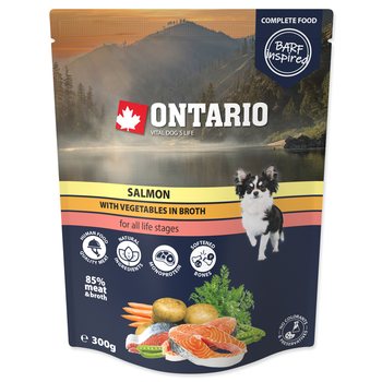 Kapsička Ontario losos se zeleninou ve vývaru 300g-KS