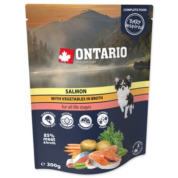 Kapsička Ontario losos se zeleninou ve vývaru 300g-KS