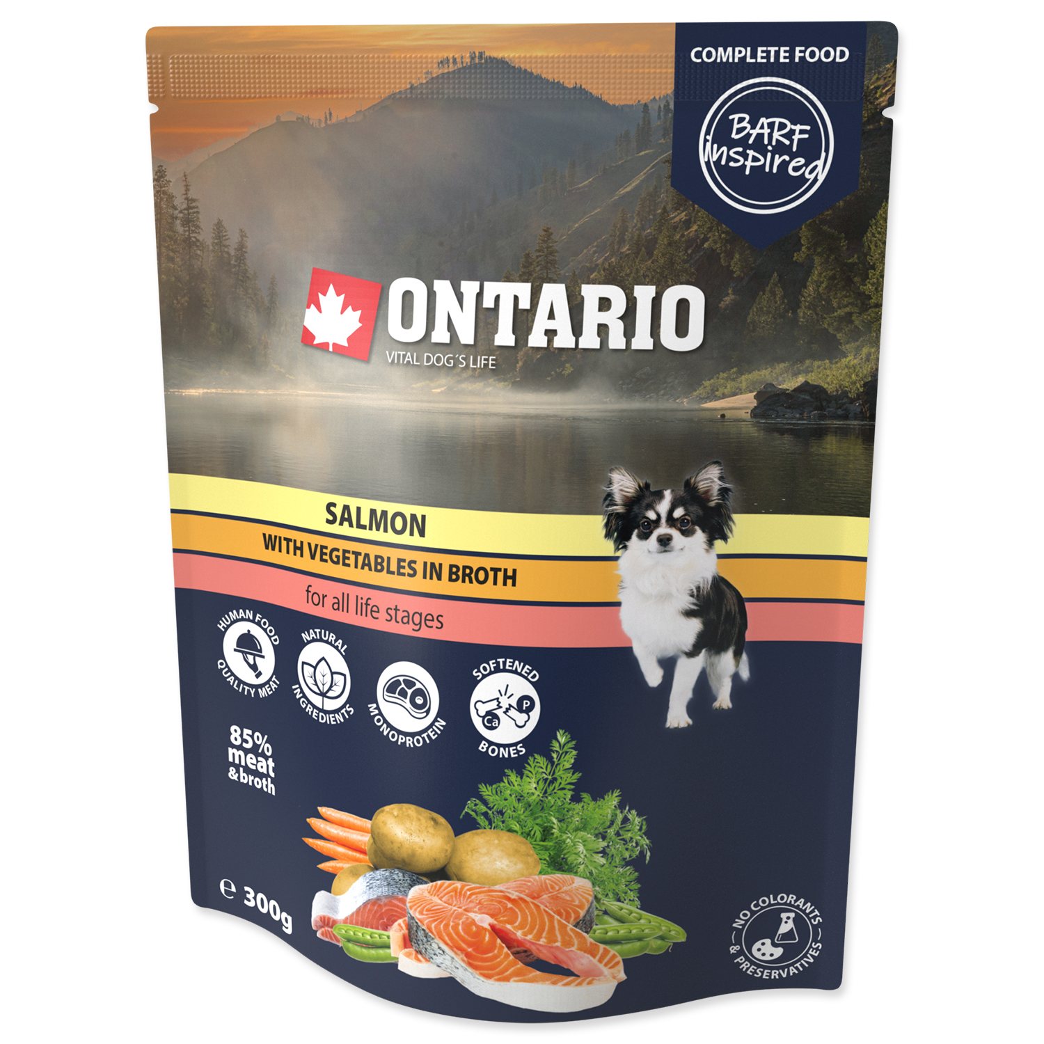 Kapsička Ontario losos se zeleninou ve vývaru 300g-KS