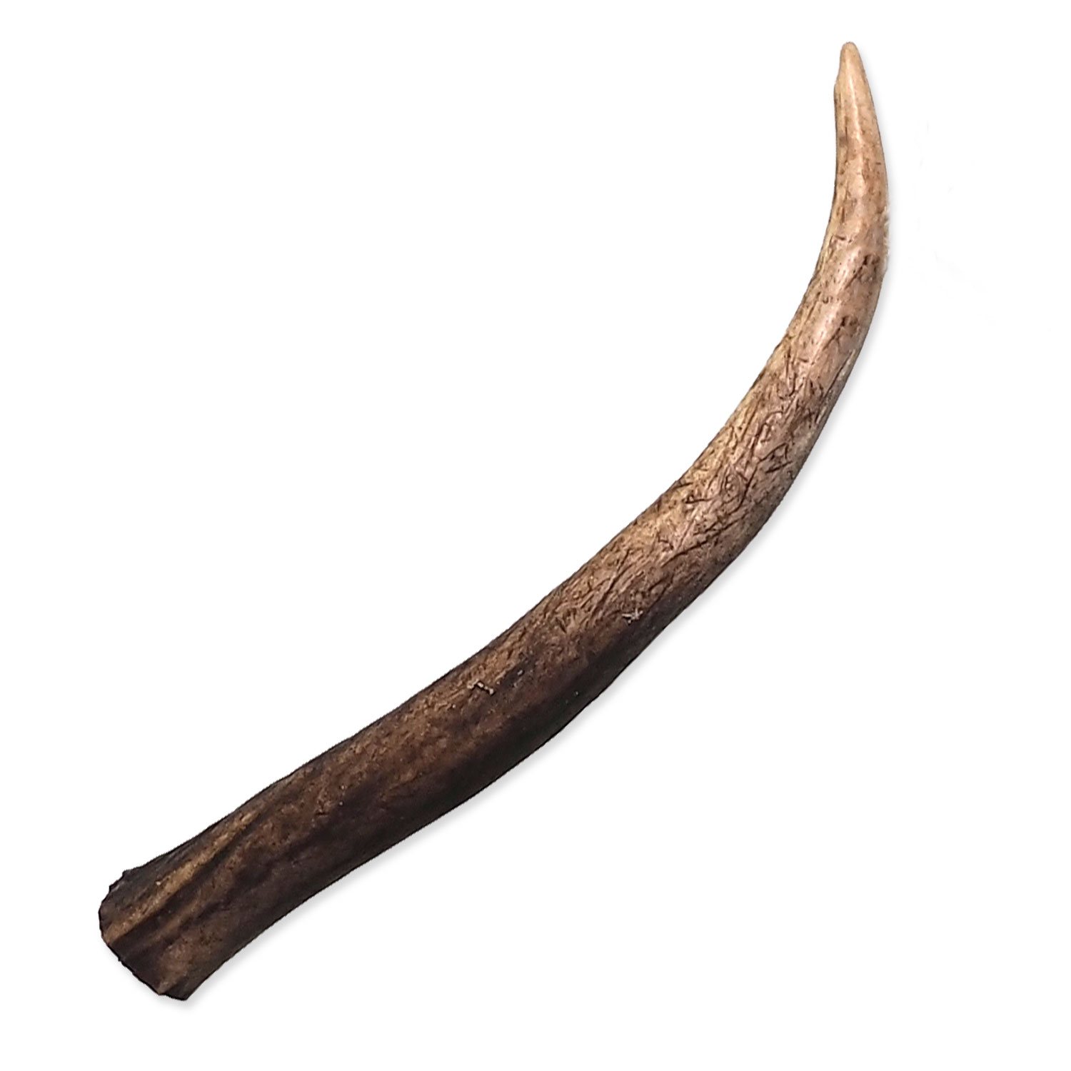 Pochoutka Paroh jelen S