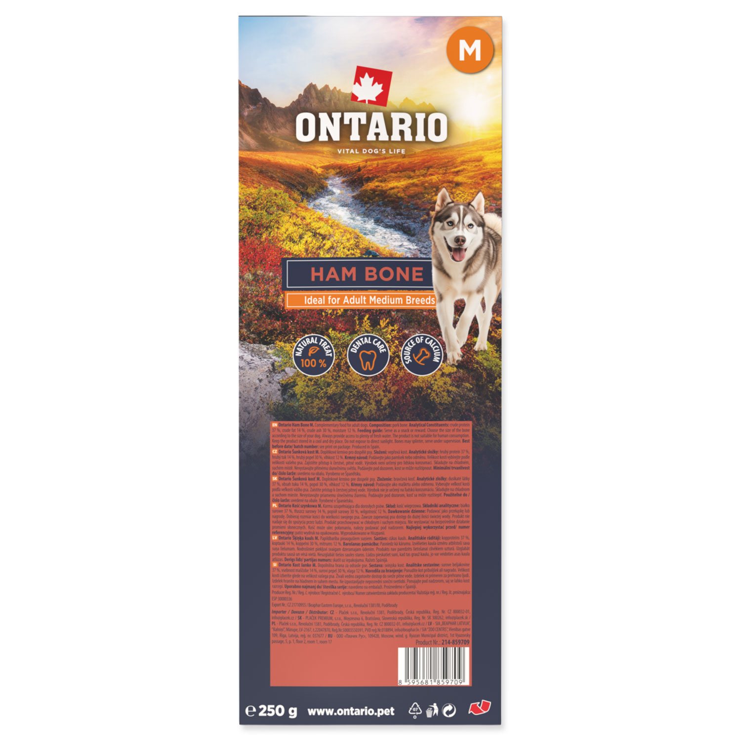 Pochoutka Ontario kost šunková M