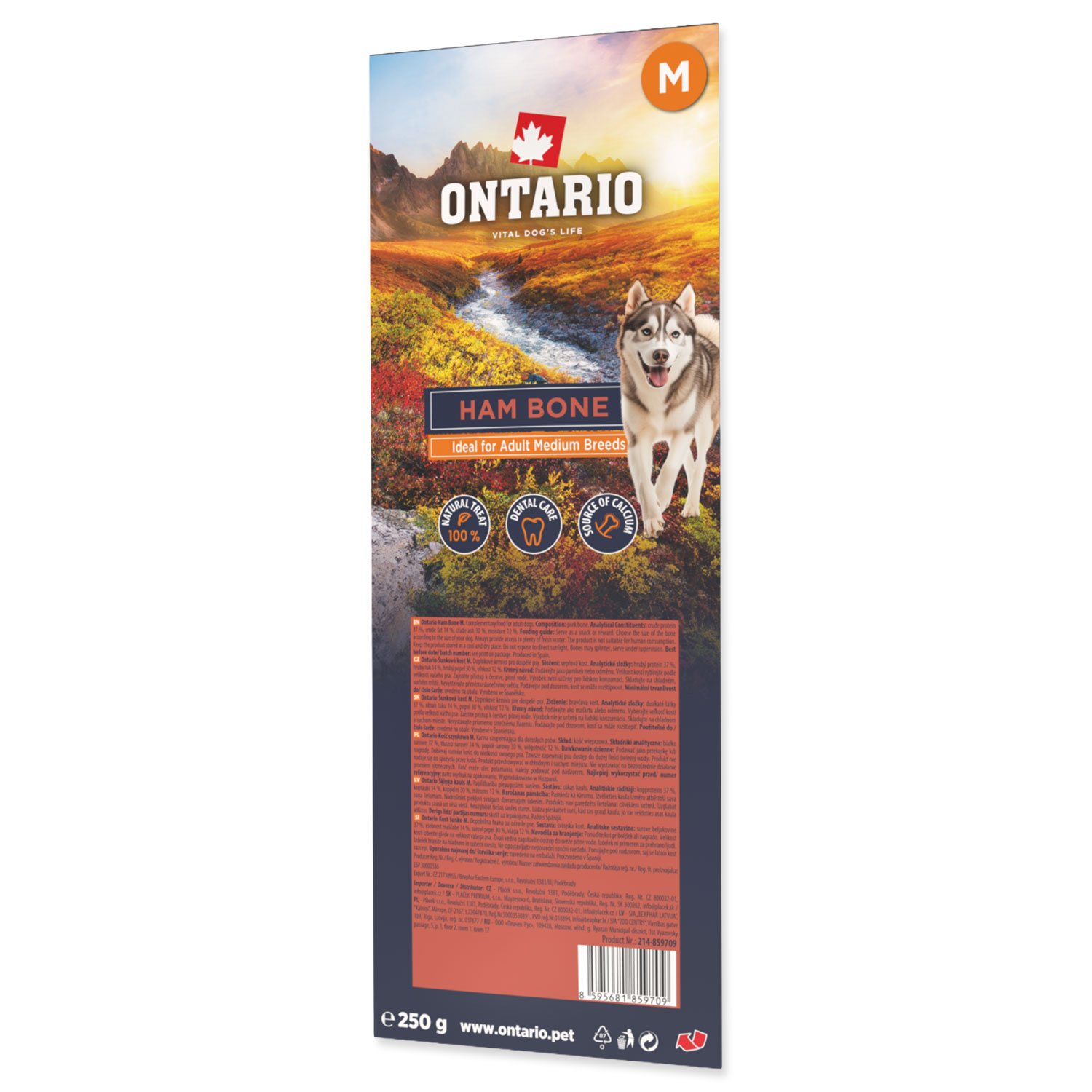Pochoutka Ontario kost šunková M