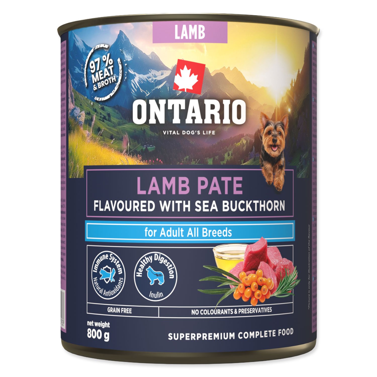 Konzerva Ontario Adult jehněčí pate s příchutí rakytníku 800g-KS