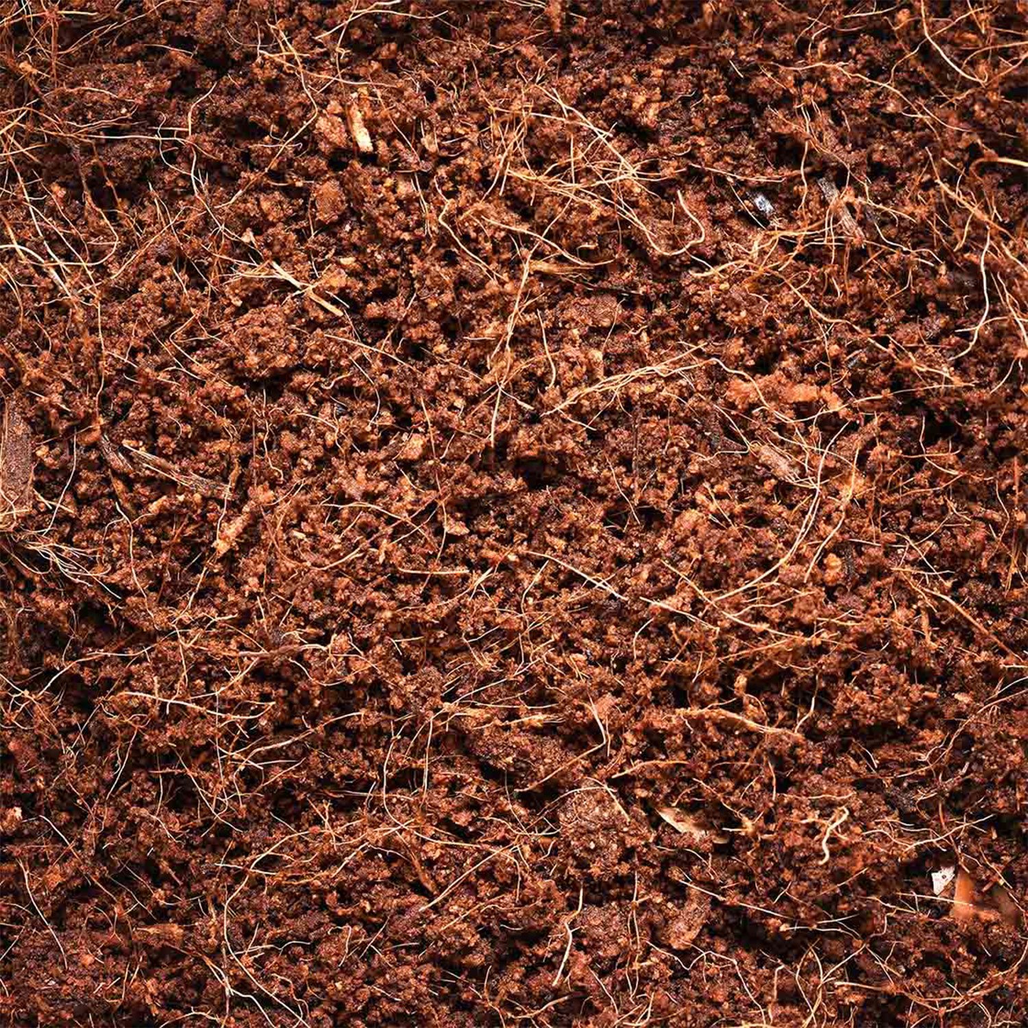 Lignocel puk kulatý 2ks-KS