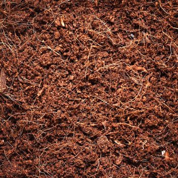 Lignocel puk kulatý 2ks-KS