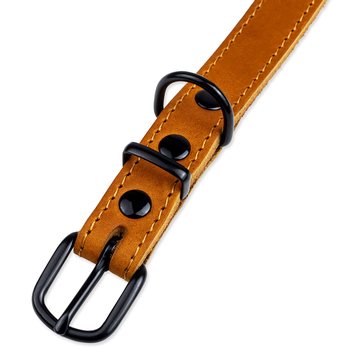 Obojek Dog Fantasy ZUBR kožený koňak 2x47cm-KS