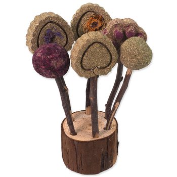 Hračka Small Animals lízátka okusovací 17cm-KS