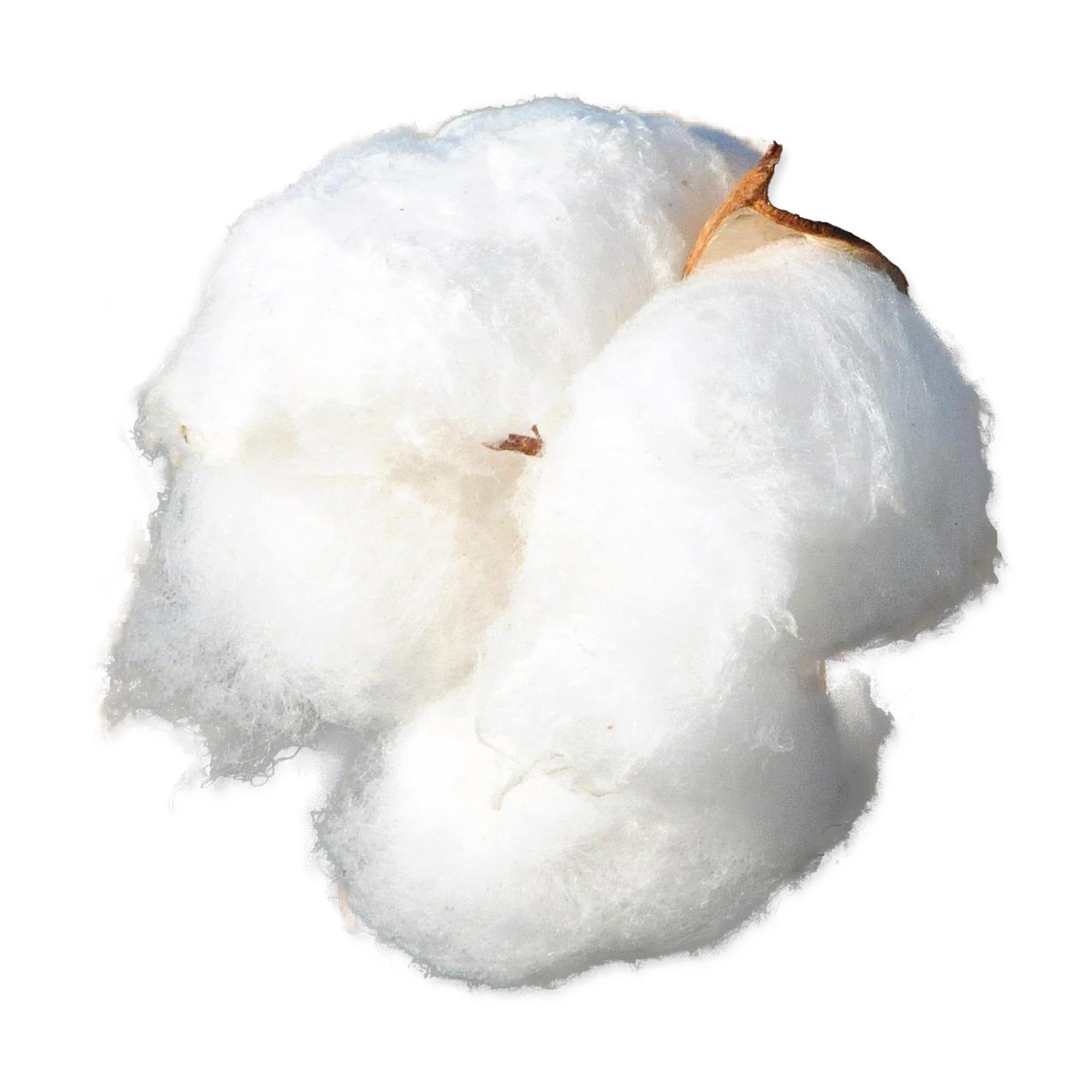 Materiál Small Animals hnízdící bavlna-KS