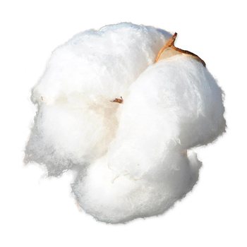 Materiál Small Animals hnízdící bavlna-KS