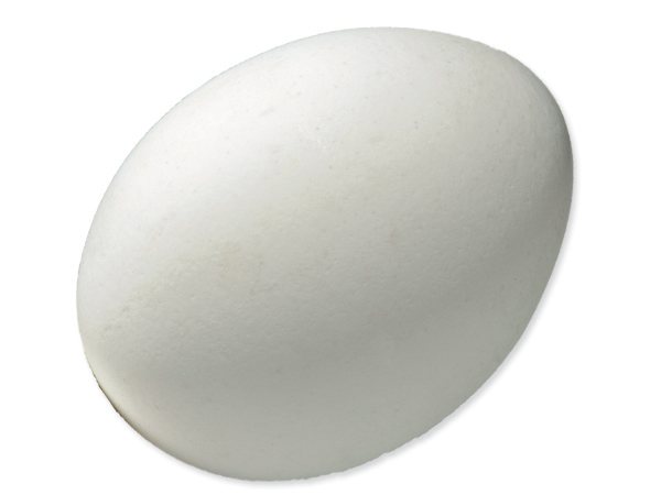 Podkladek pro slepice 1ks-KS