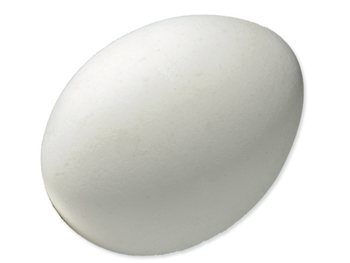 Podkladek pro slepice 1ks-KS