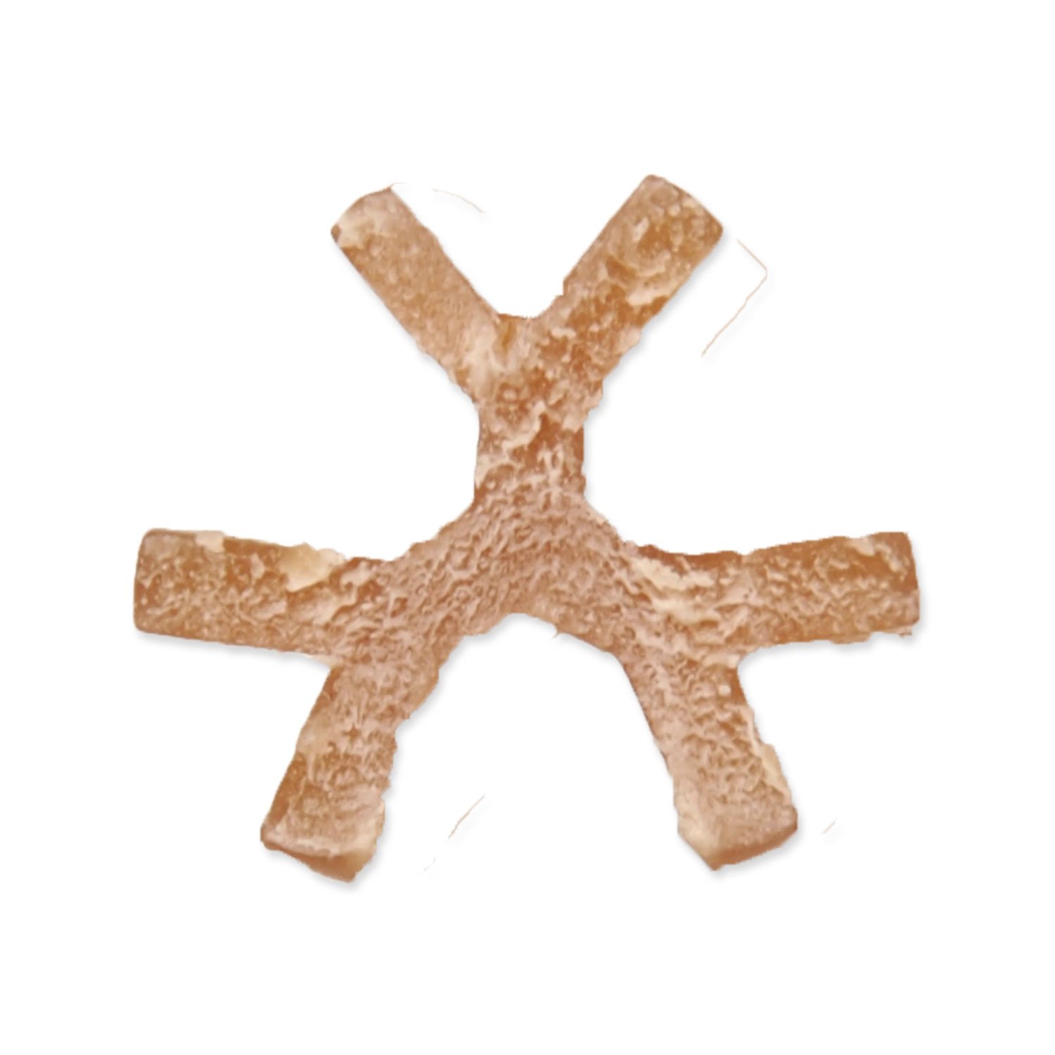 Displej Dentosaurus tyčinka s propolisem M 12cm 80ks-KS