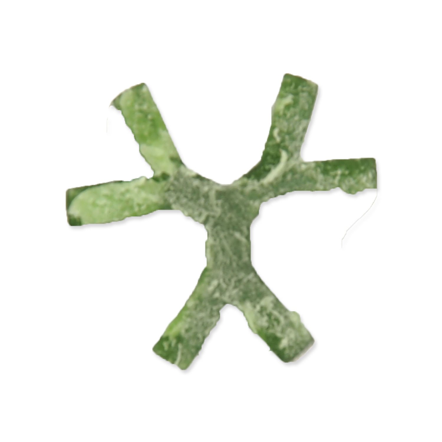 Displej Dentosaurus tyčinka s chlorofylem M 12cm 80ks-KS