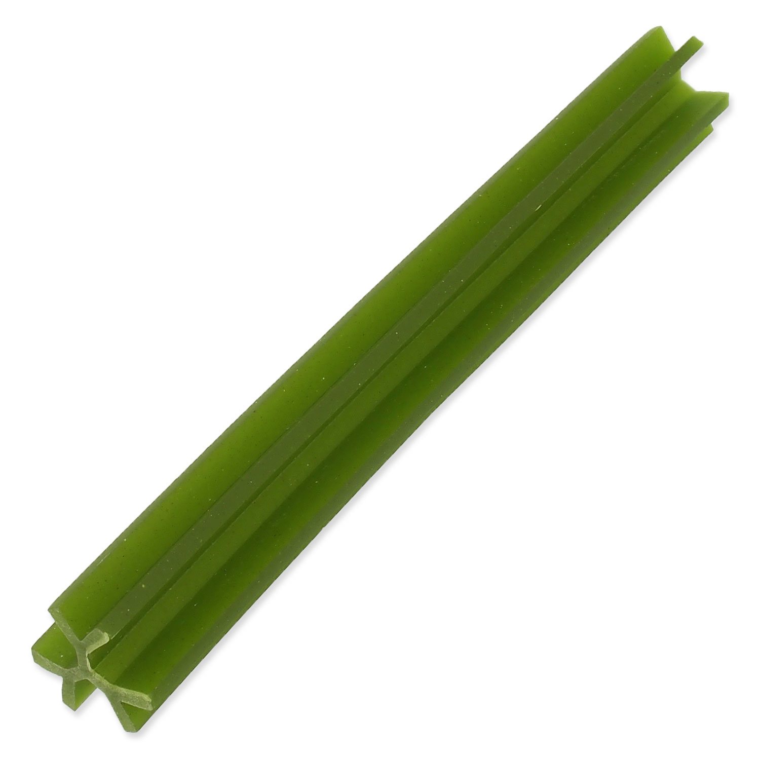 Displej Dentosaurus tyčinka s chlorofylem L 21cm 20ks-KS