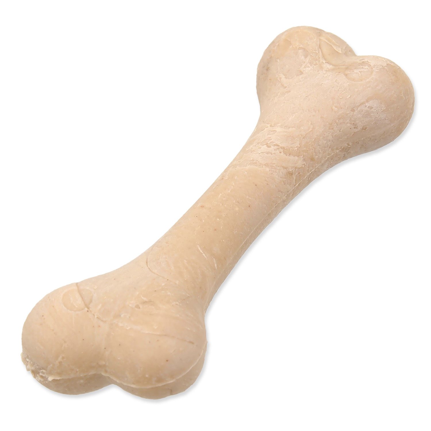 Displej Kost Dentosaurus kalciová 8,5cm 56ks-KS