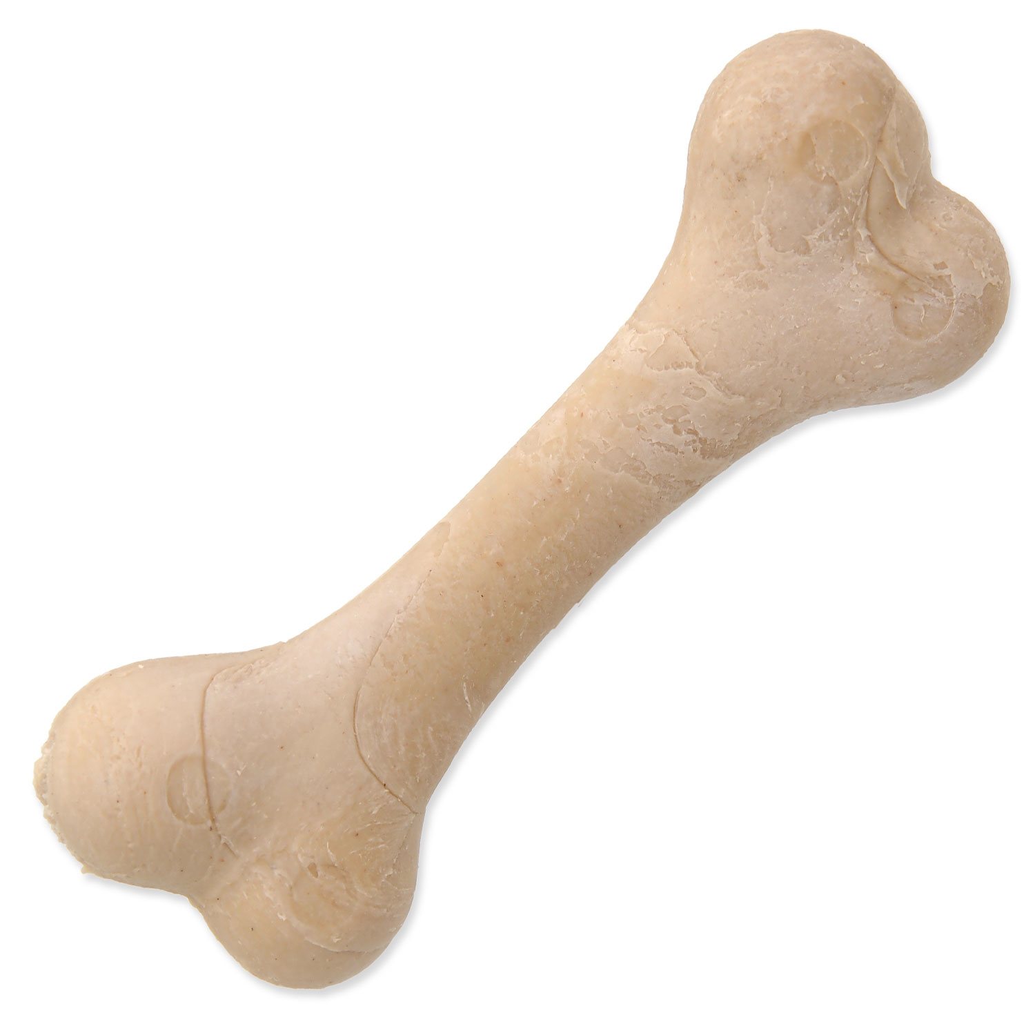 Displej Kost Dentosaurus kalciová 8,5cm 56ks-KS