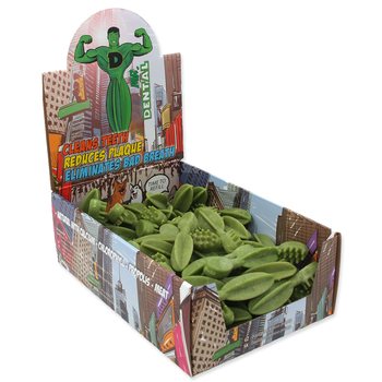 Displej Kartáček Mr.Dental s chlorofylem 8,5cm 70ks-KS