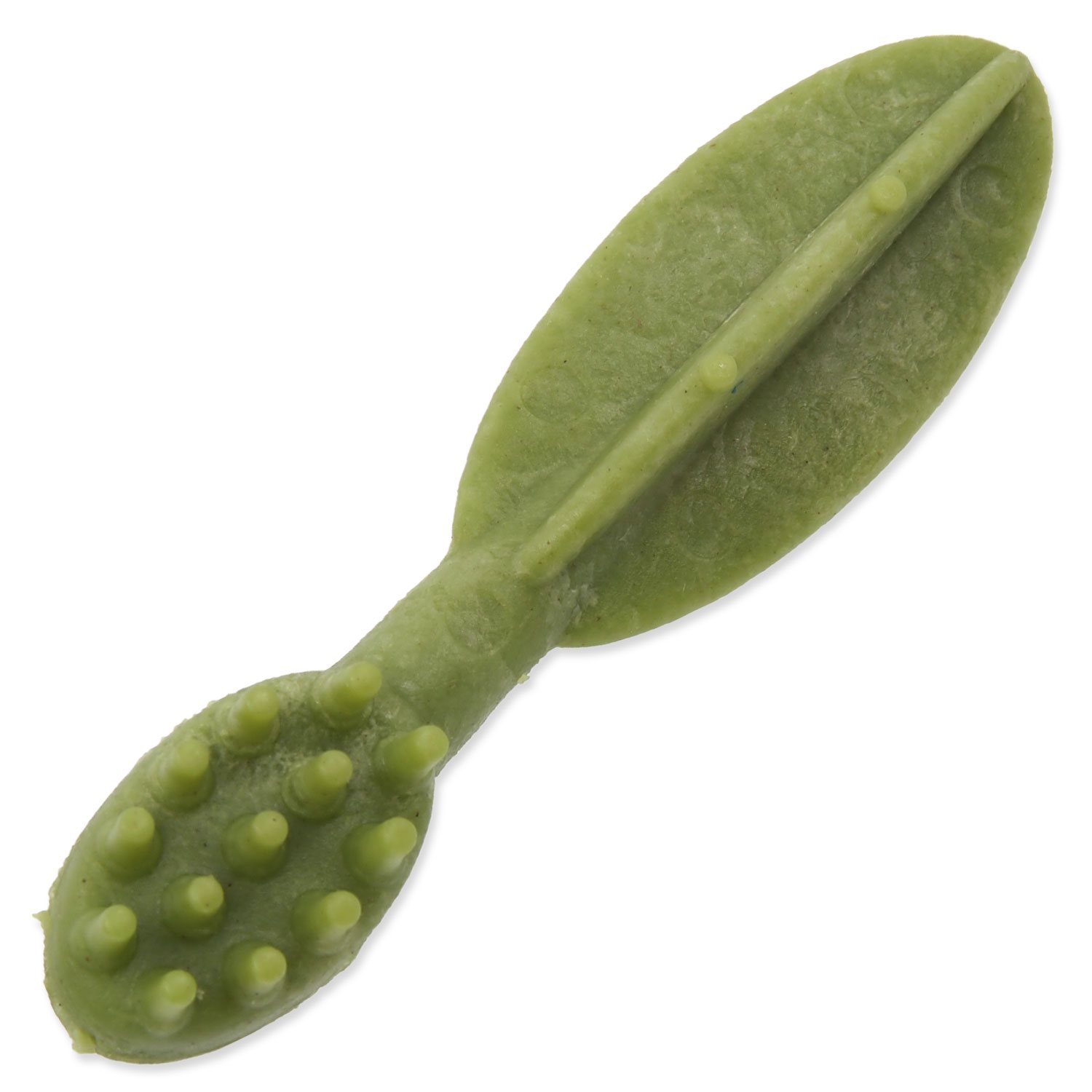 Displej Kartáček Mr.Dental s chlorofylem 8,5cm 70ks-KS