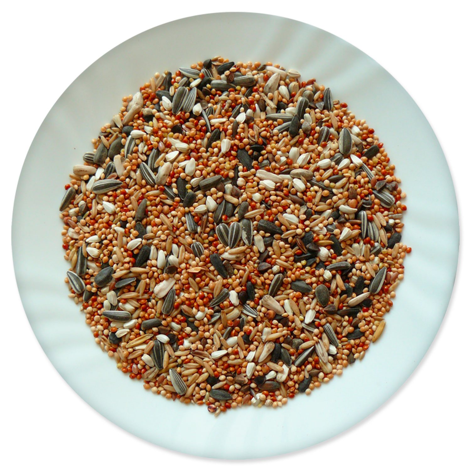 Krmivo Avicentra Classic malý papoušek 1kg-KS