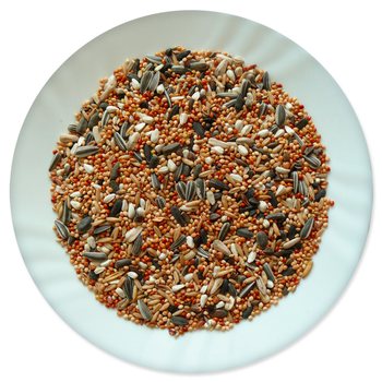 Krmivo Avicentra Classic malý papoušek 1kg-KS