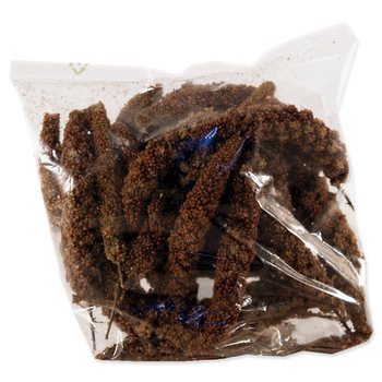 Proso Avicentra senegalské klasy červené 100g-KS