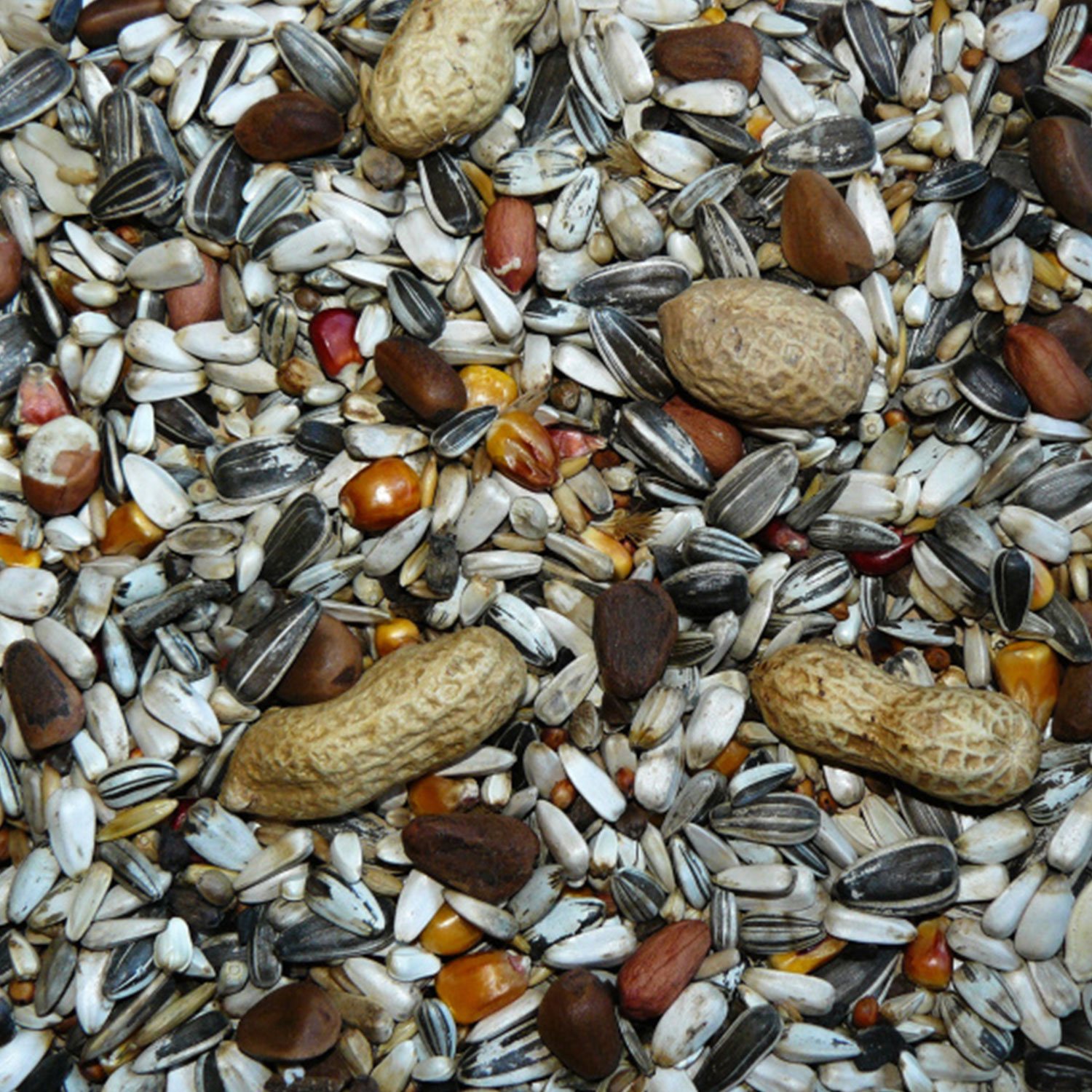 Krmivo Avicentra Gold velký papoušek 850g-KS