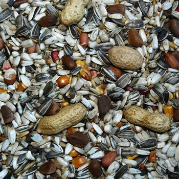 Krmivo Avicentra Gold velký papoušek 850g-KS