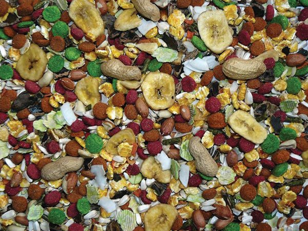 Krmivo Avicentra Deluxe malý hlodavec 1kg-KS