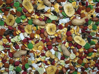 Krmivo Avicentra Deluxe malý hlodavec 1kg-KS