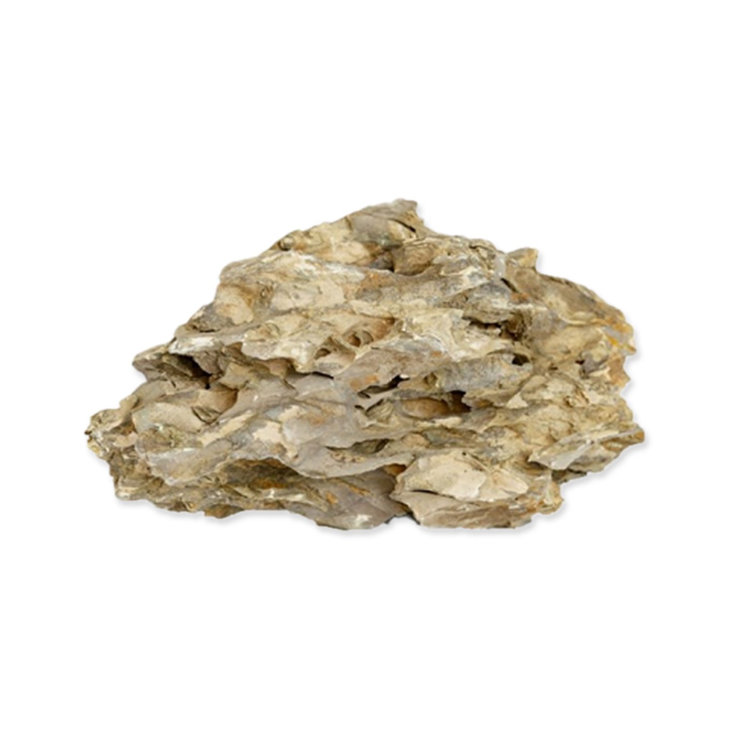 Dekorace Rataj kámen Dragon rock M 1-2 kg, 15-25cm-KS