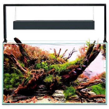 Akvarijní set Aquael Ultrascape 60 forest, 64,8l-KS